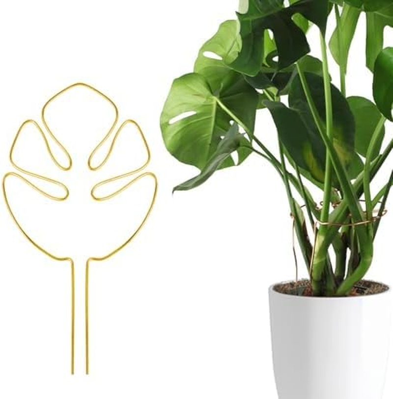 Charming Club Golden 30Cm 1PCS Plant Support for Monstera Potted Bendable Aluminum Wire Assisted Plant Growth Plant Lodging Prevention