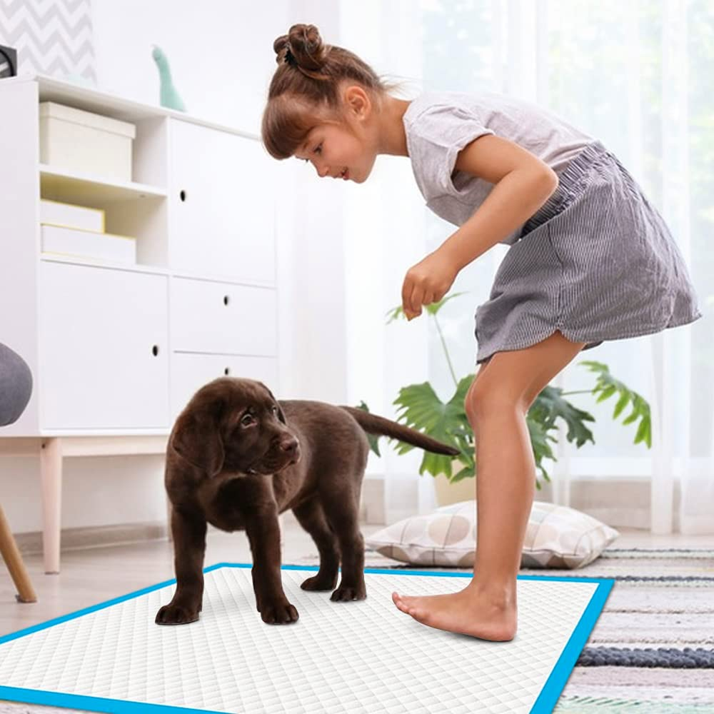 Fandcy Large Dog Pee Pads 100-Count, 60X60Cm Thicken Disposable Dog Training Pads, Super Absorbent Pee Pads for Puppy Dog Doggie, Leak-Proof Piddle Pads for Indoor, Outdoor Use (1Pack-100Count) image number 1