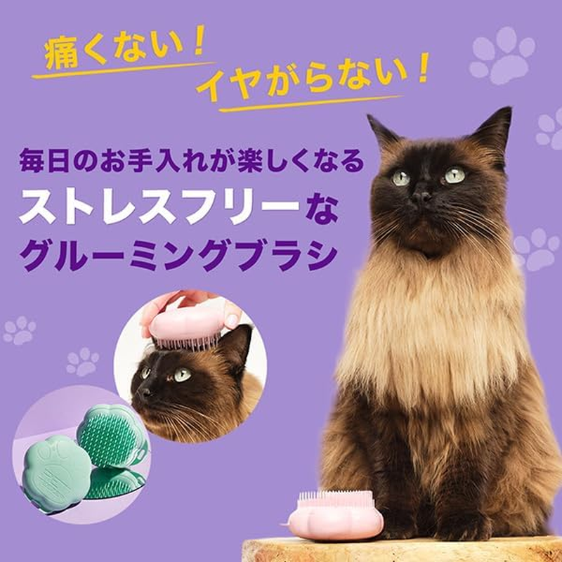 Tangle Teaser Pet Teaser Cat Friendly Mint image number 6