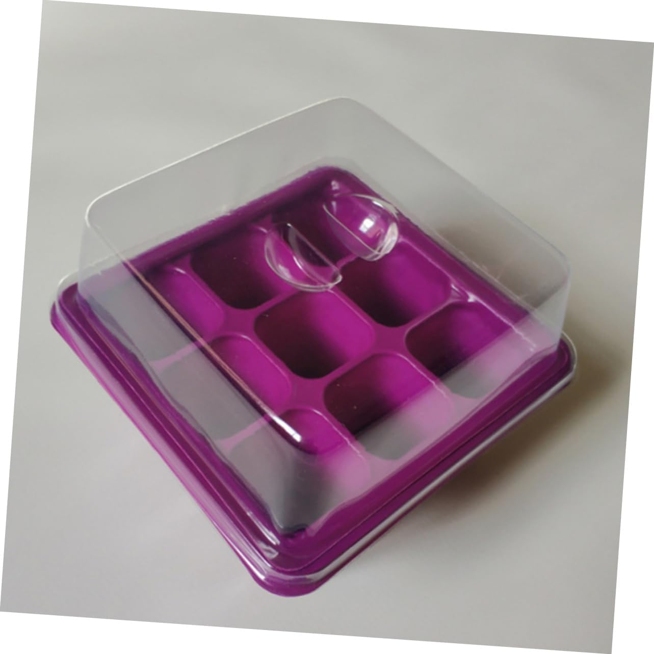 Parliky 9-Hole Plant Germination Tray Humidity Dome 2Pcs Purple Seed for Indoor Gardening and Propagation image number 1