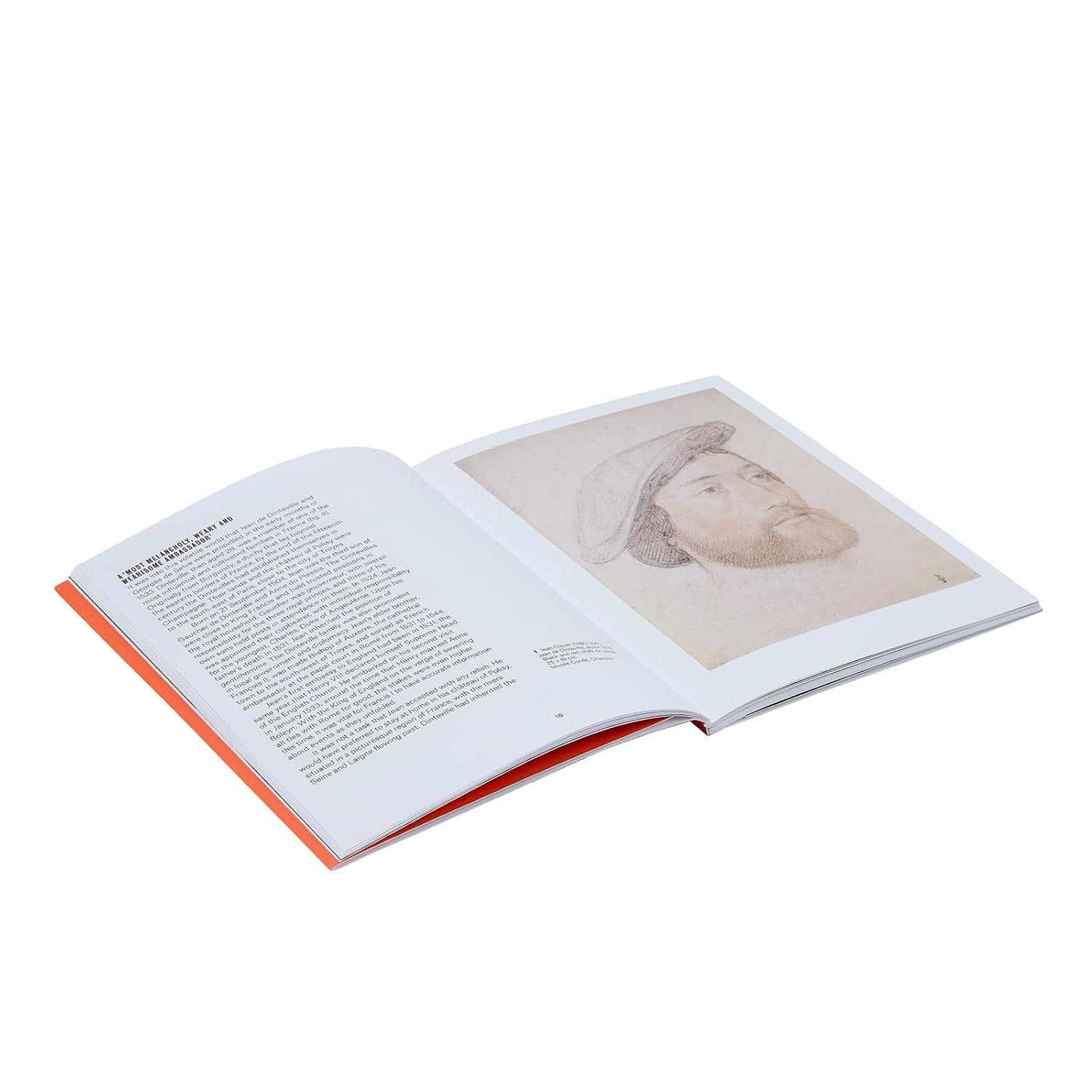 Holbein: the Ambassadors image number 1