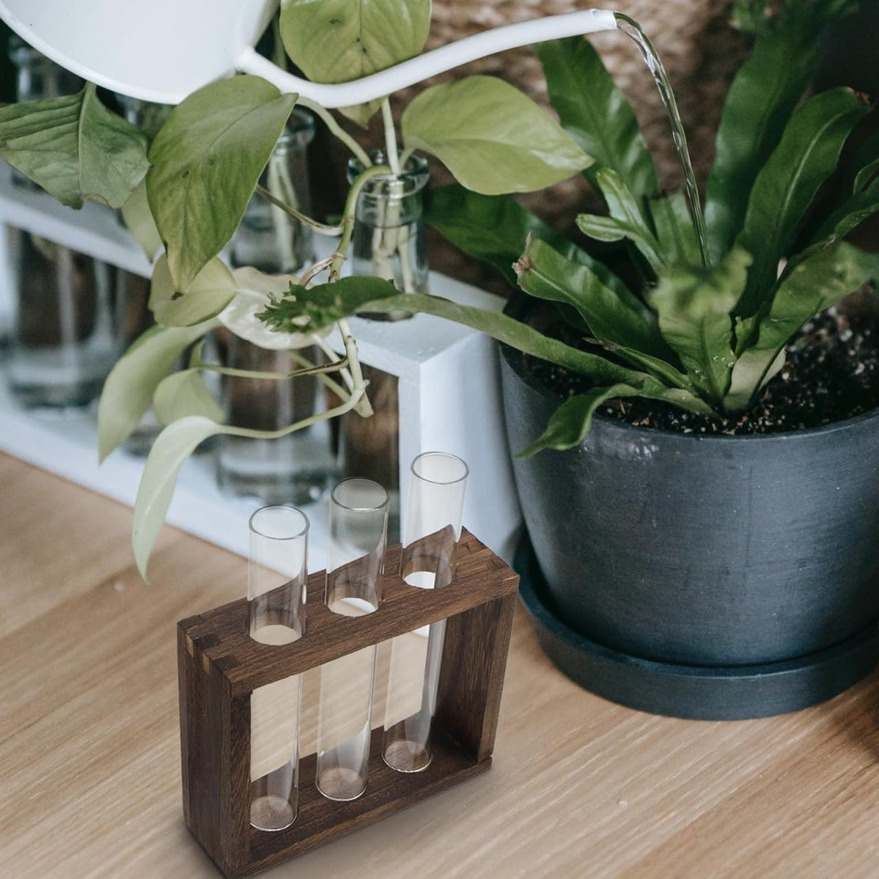 Cabilock Retro Wooden Rack Test Tube Vase for Hydroponic Plants, Glass Propagation Station for Flowers, Desktop Terrarium Decoration for Home, Office, or Restaurant image number 5