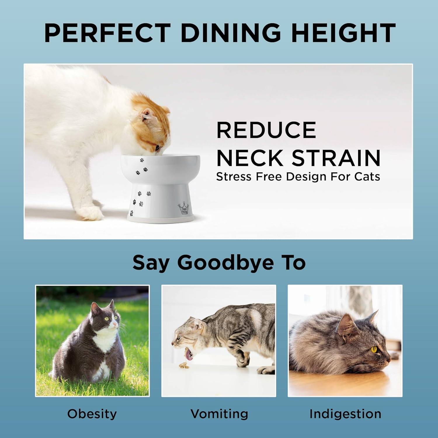 Necoichi Raised Stress Free Cat Water Bowl (Cat, Extra Tall)