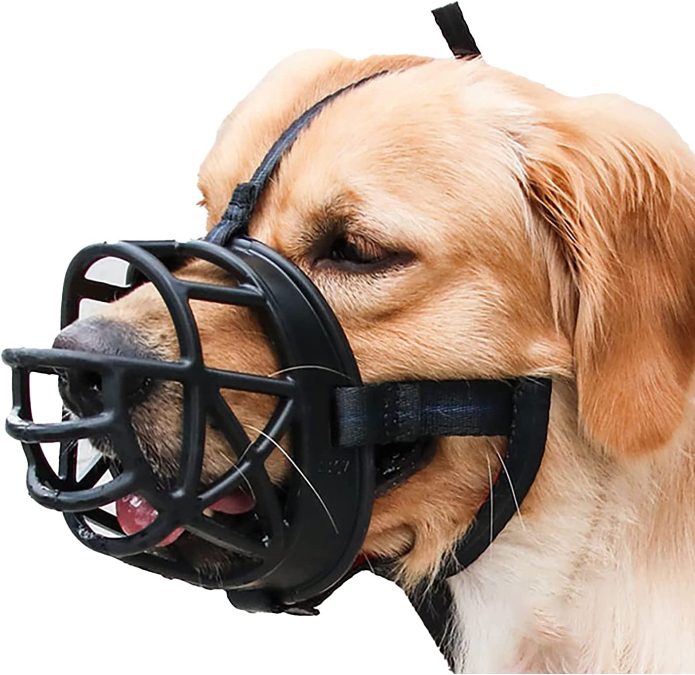 Proxima Direct Dog Muzzle, Breathable Basket Muzzles for Medium Dogs, Stop Biting, Barking and Chewing, Best for Aggressive Dogs. image number 2