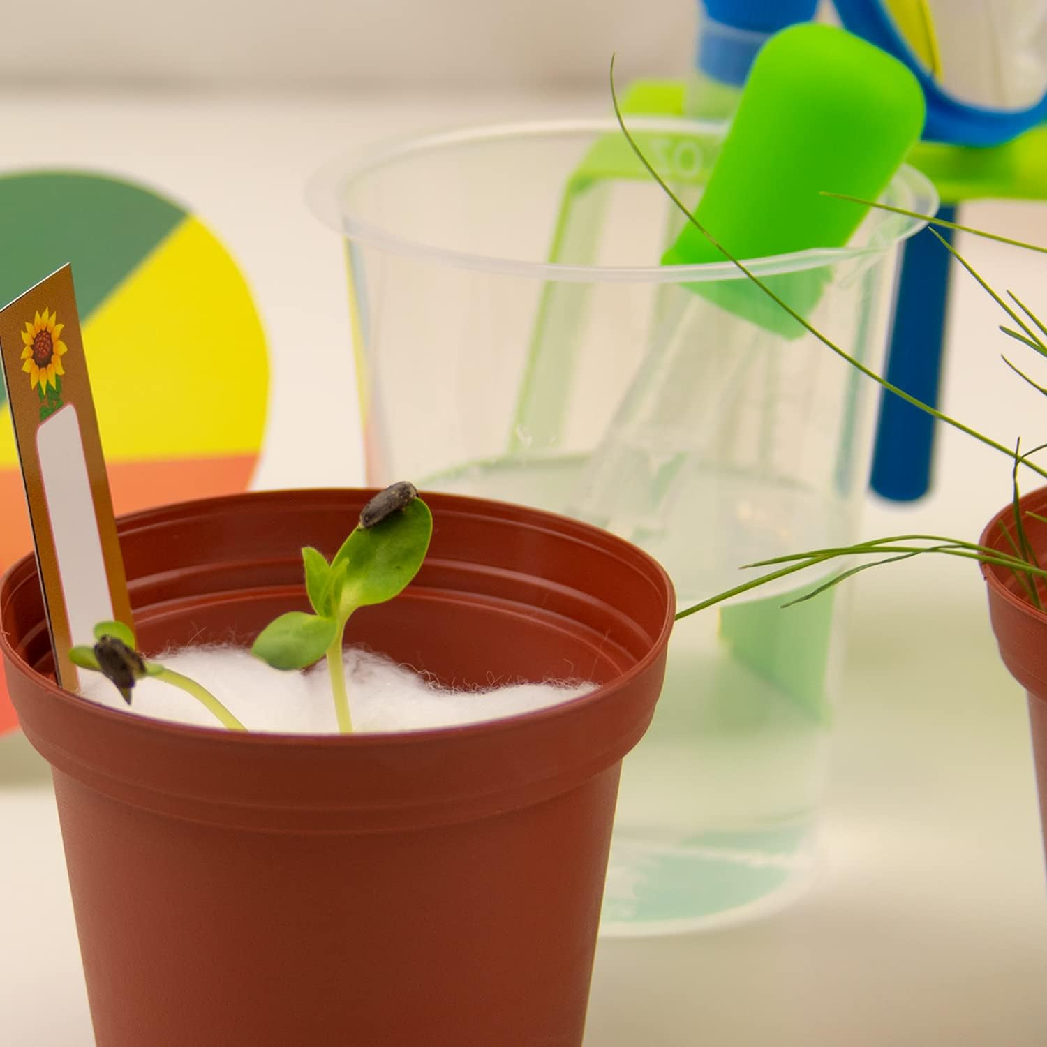 Science4You - Peppa Pig'S Science Kit for Kids Age 4+ - 26 Experiments: Giant Bubbles and Seed Growing Kits, STEM Toys, Learning Games for Boys and Girls 4-7 Years Old image number 3