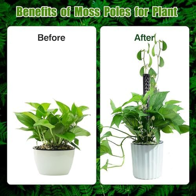 MLUOTALY Plastic Moss Poles for Climbing Plants, Indoor Plants Hollow Plant Pole with Labels and Garden Ties, Stackable Plant Support Stakes for Indoor Plants, Monstera, Vines (4PCS) - 4Pcs image number 2