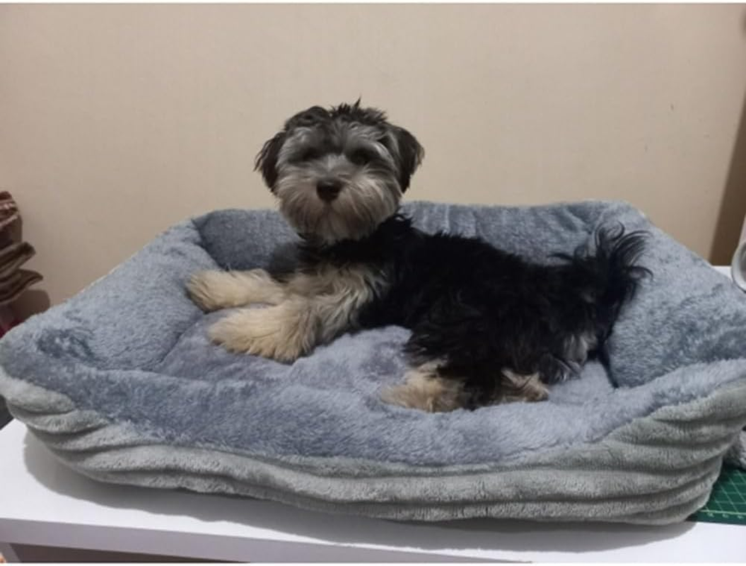 VENEKA Grey Dog Bed Pet Square Plush Dog Kennel Mat Small and Medium Dog Sofa Mattress Pet Dog Bed House Mat Pet Supplies 70 X 55 Cm image number 3