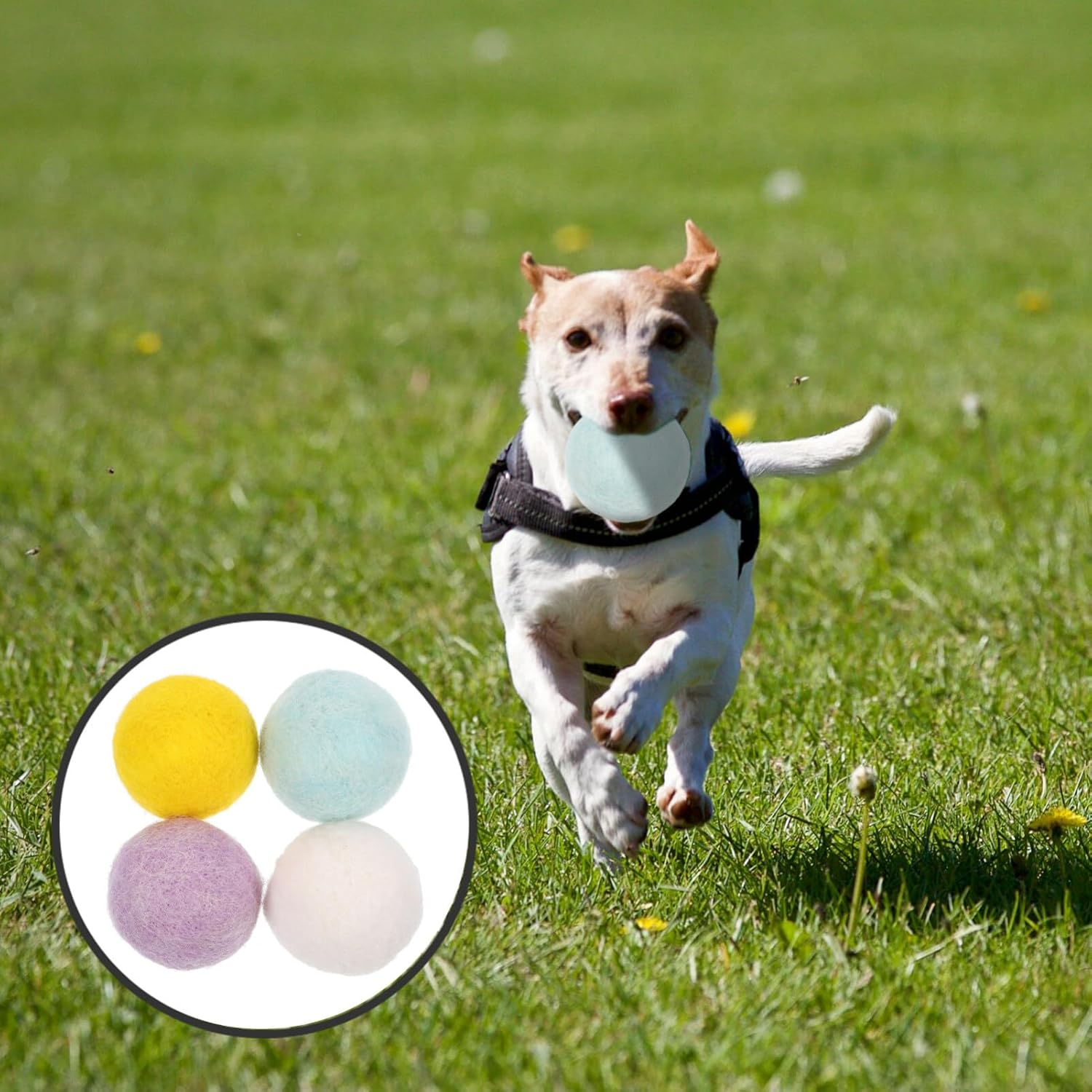 Operitacx Pack of 4 Wool Felt Ball Dog Toys - Interactive Chew Ball for Dogs, Stuffed Toy Ball for Puppies, Plush Ball for Indoor and Outdoor Games, Pet Activity image number 2