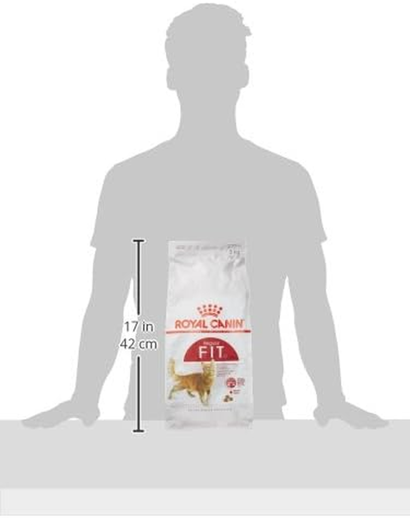Royal Canin Adult Fit Cat Food 2 Kg image number 6
