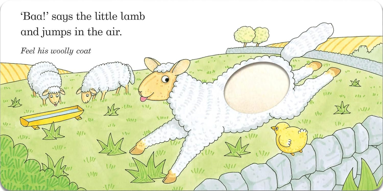 Fluffy Chick: a Touch-And-Feel Book from the Creator of Dear Zoo