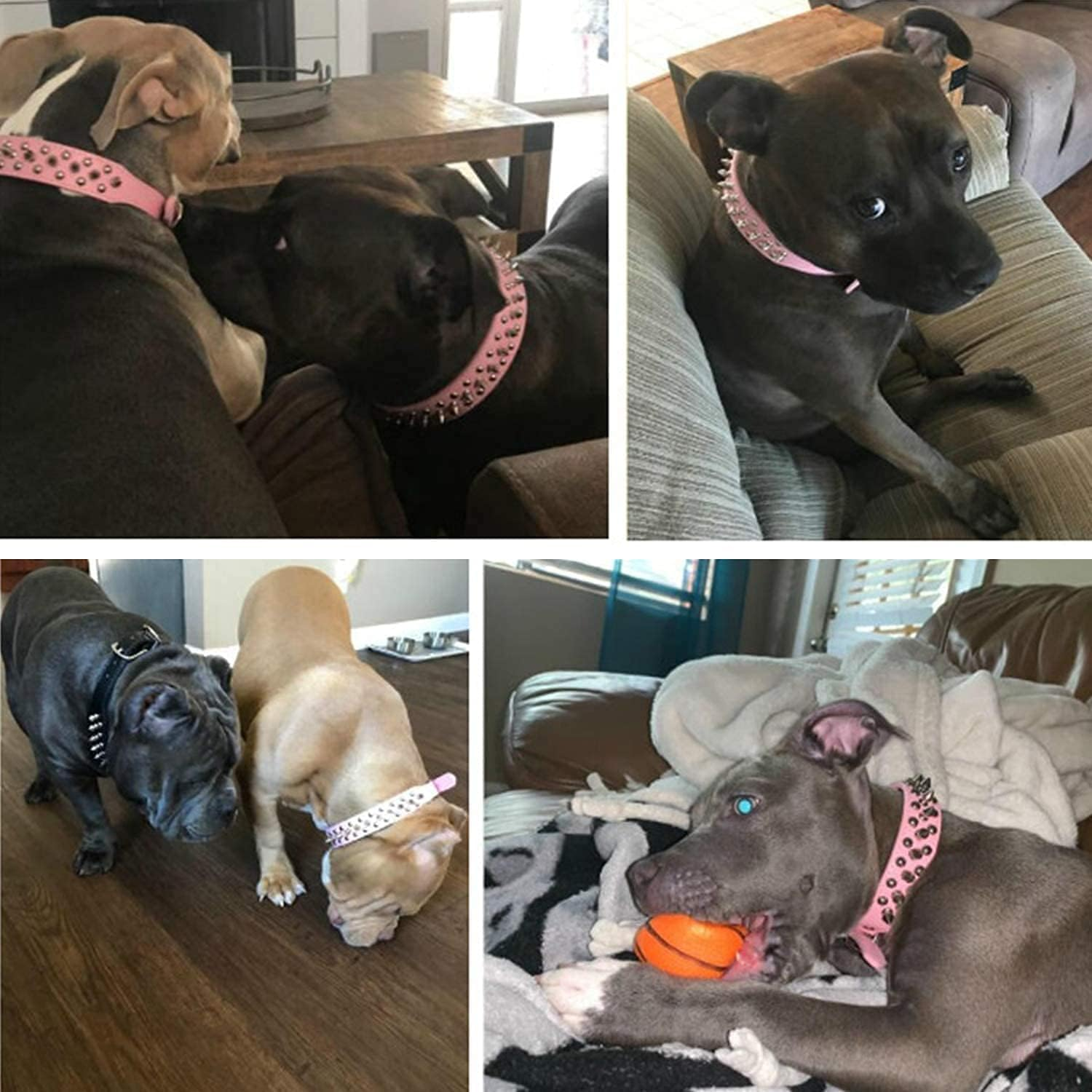 Adjustable Leather Spiked Studded Dog Collars Small Medium Large Pets like Cats/Pit Bull/Bulldog/Pugs/Husky, Pink,【 Neck 12 In】 image number 3