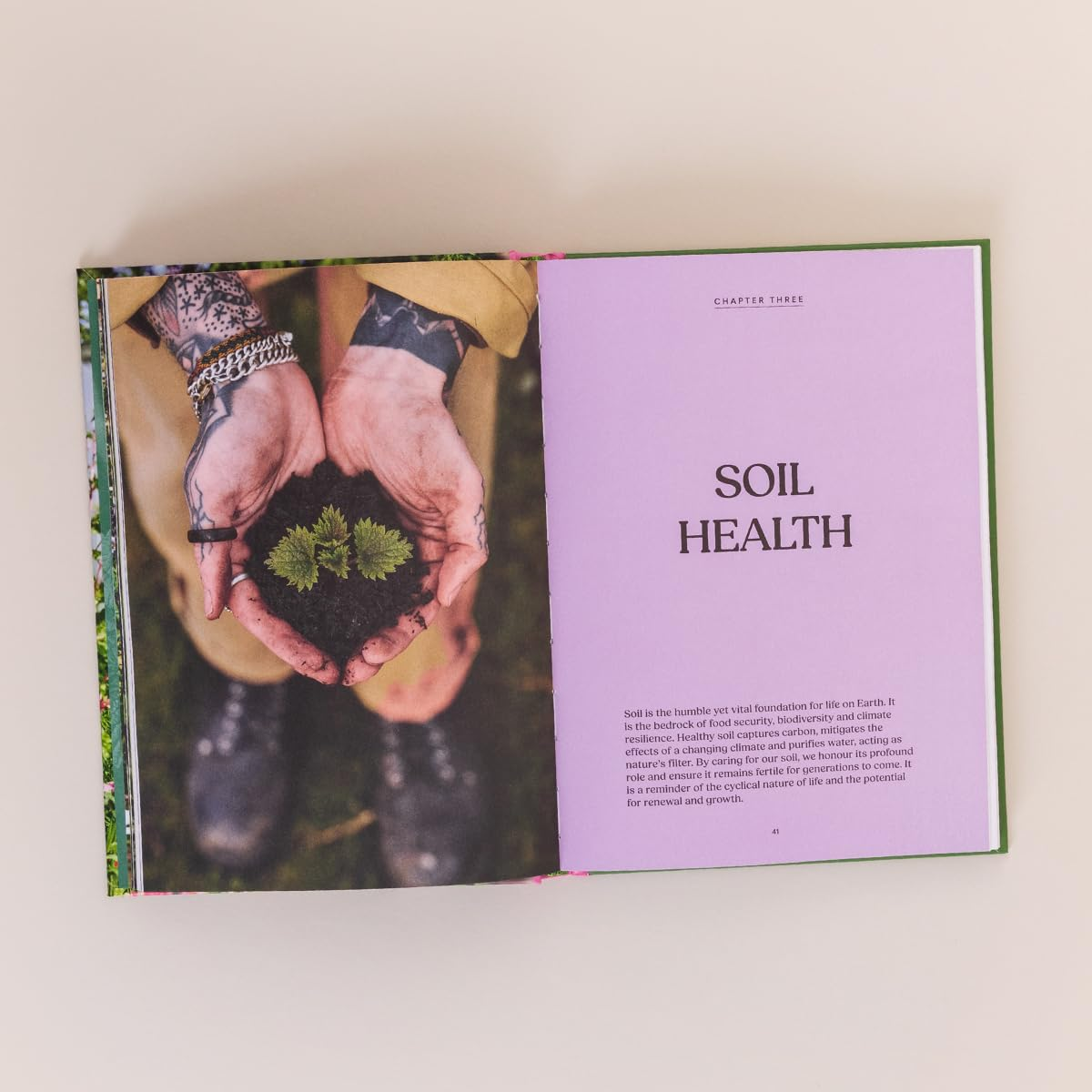 Nettles & Petals: Grow Food. Eat Weeds. save Seeds. the Sunday Times Bestseller image number 1