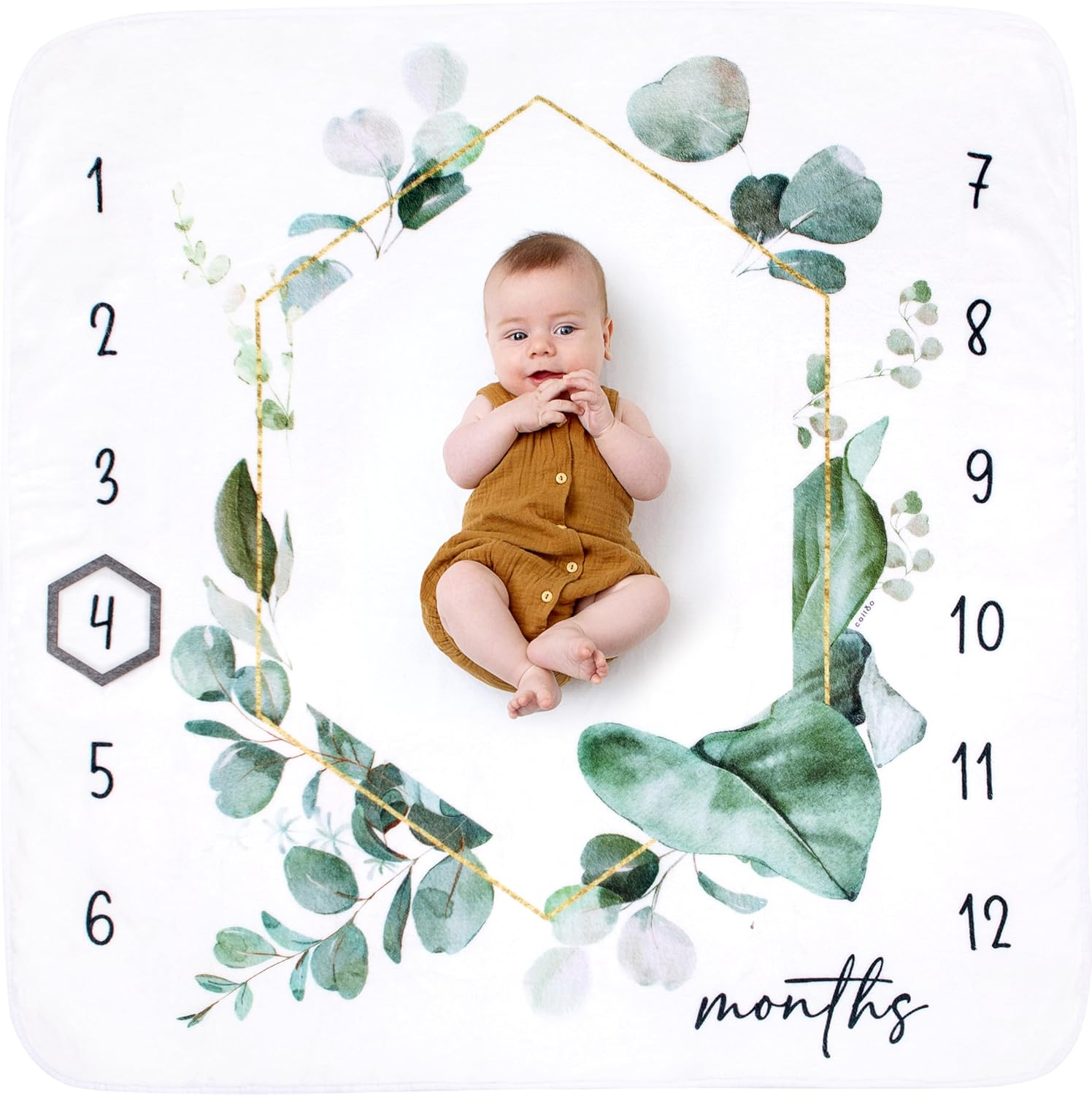 Baby Monthly Milestone Blanket Unisex Gender Neutral, First 12 Months Baby Milestone Blanket for Boy or Girl, Infant Photo Blanket for Age Growth, 46&rdquo;X46&rdquo;