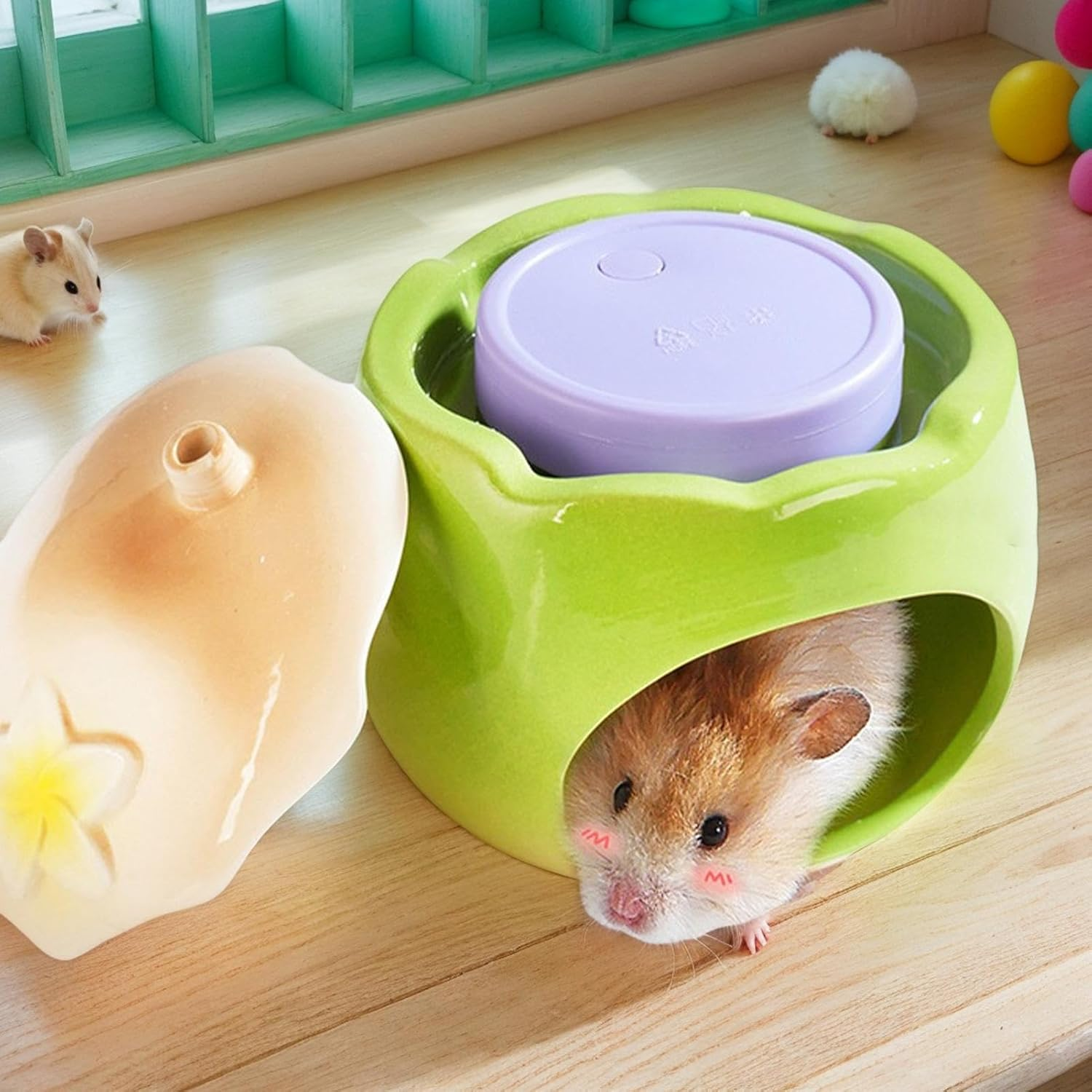 Ceramic Hamster House - Hamster Cooling Cave | Fruit Shape Small Animal Cooling Nest Habitat for Gerbils Squirrel Lemmings Hedgehog image number 4