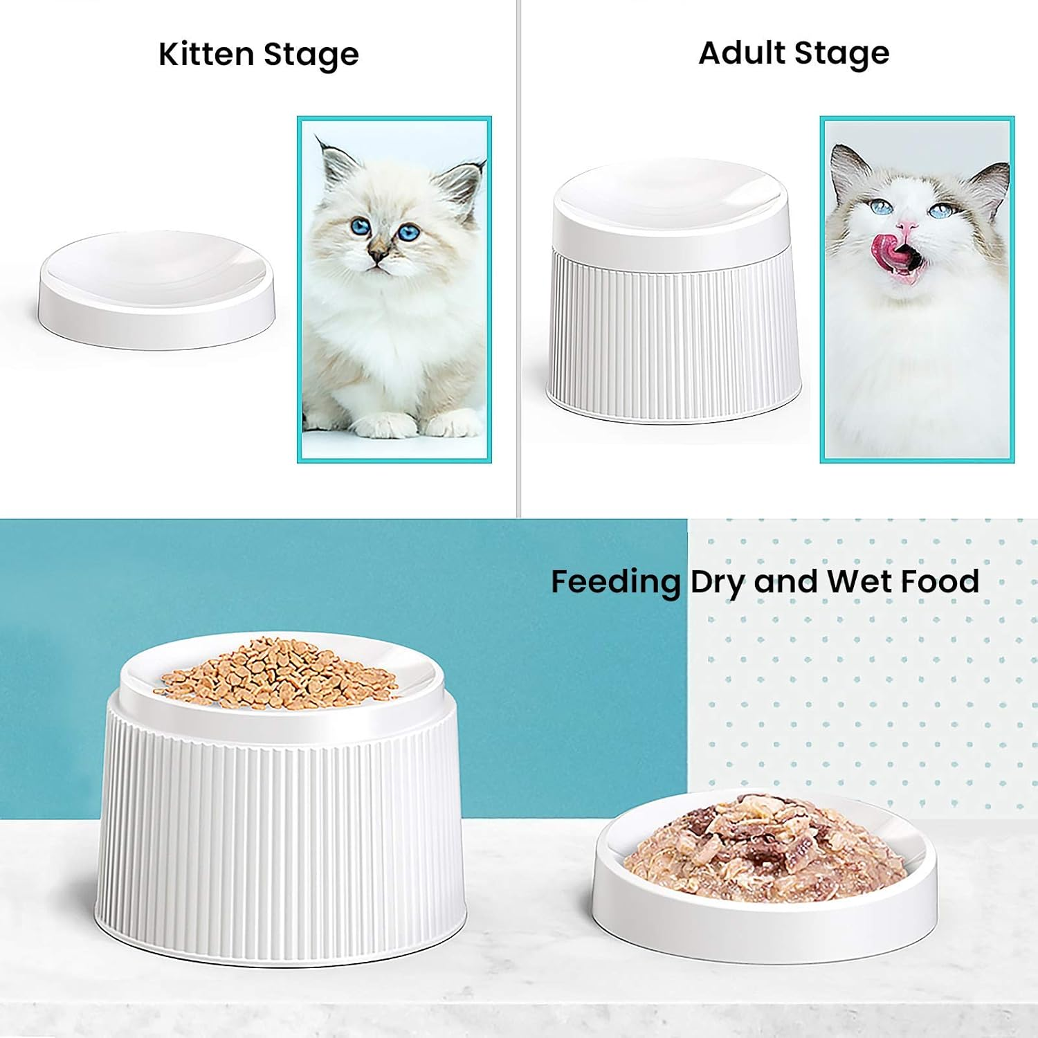 Ipettie Elevated Cat Food Bowl Cat Dish, Tilted Pet Feeding Station with Stand for Small Dog, Made from Certified Food-Safe Plastics, Better than Stainless Steel and Ceramic image number 4