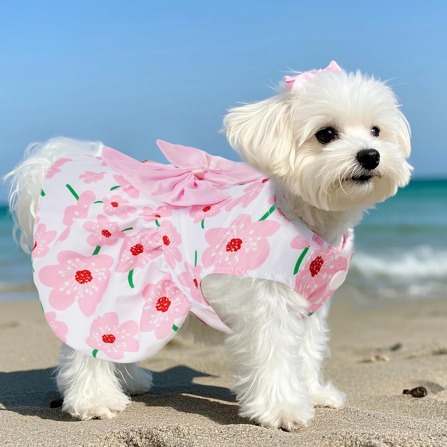Choyaxo Floral Dog Dress Cute Dog Skirt Pet Dress Summer Pet Clothes for Puppy Small Cats