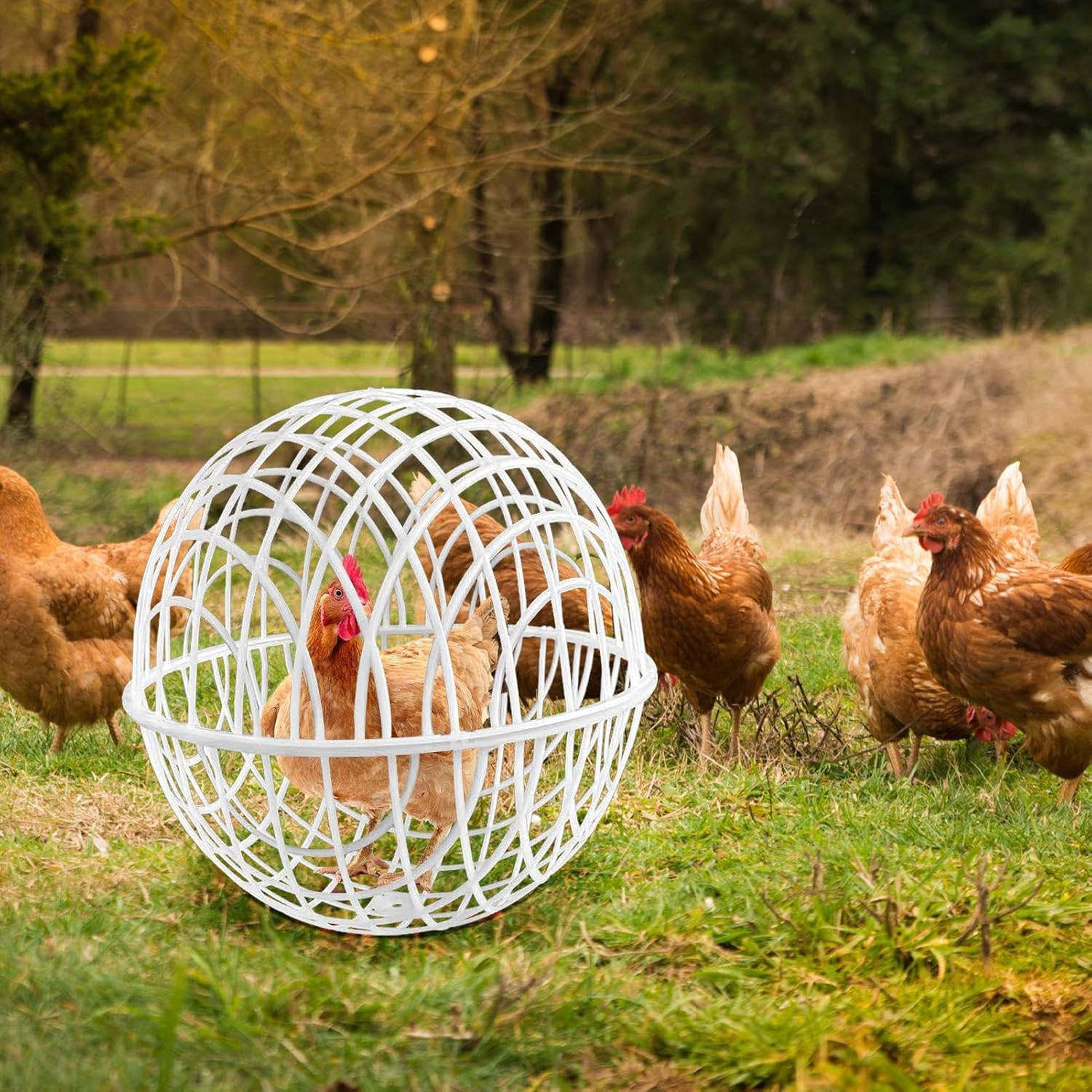 Chicken Cages for Outside, Movable Chicken Cage Ball | Small Animal Outdoor Pens Hutches for Farm Backyard Exercise Keeping Grazing Outdoor Housing Roaming Yard image number 3