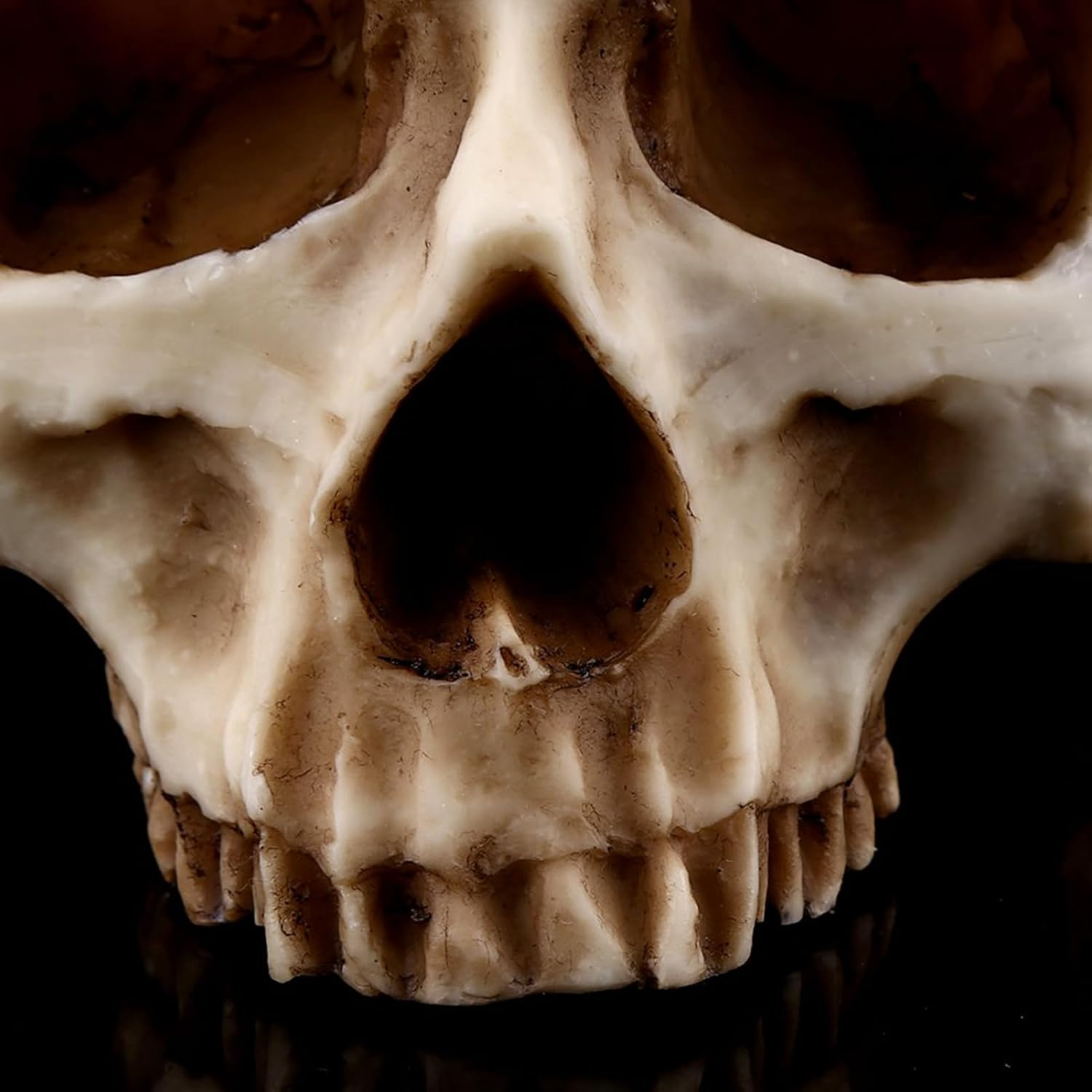 1 Piece Eyecatching Skull Flower Pot Authentic Design Planter and Multipurpose Decorative Container, #564, Traditional image number 2