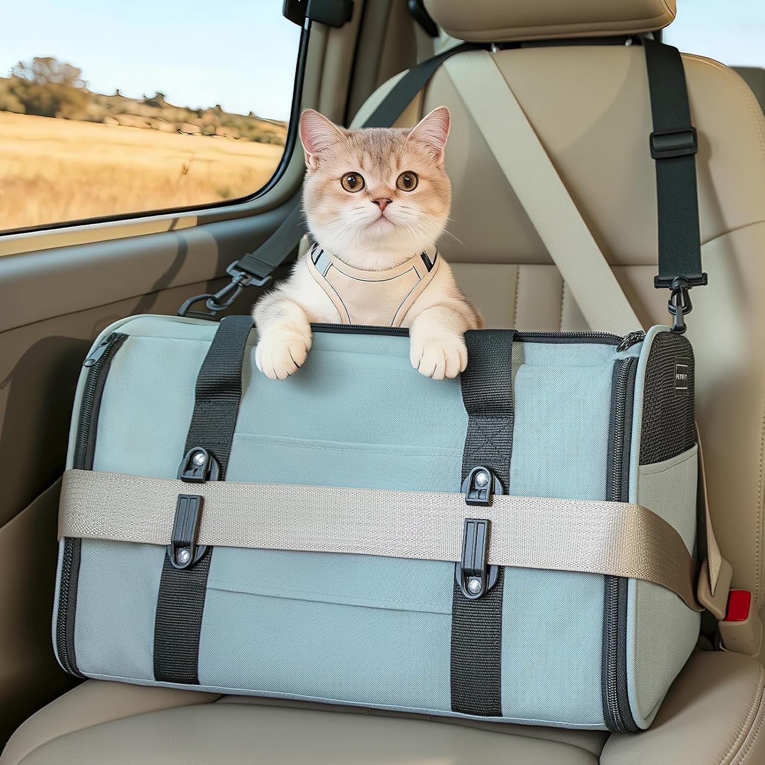 Petsfit Expandable Pet Carrier Airline Approved, Soft-Sided Portable Cat Carrier Dog Carrier, with Removable Plush Mat, Locking Safety Zippers and Pockets, Green