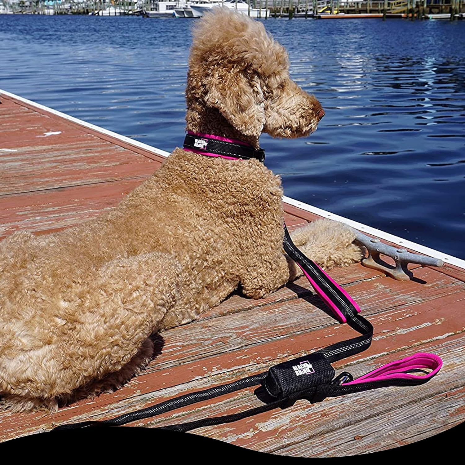 Black Rhino Dog Leash - Heavy Duty - Medium & Large Dogs | 6Ft Long Leashes | Two Traffic Padded Comfort Handles for Safety Control Training - Double Handle Reflective Lead - (Pink) image number 1