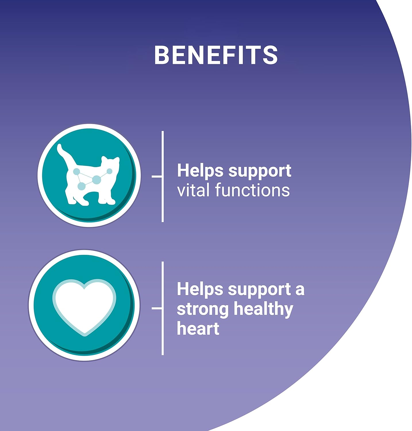 PURINA ONE Wet Cat Food Senior 7+ Mini Fillets Chicken and Beef 8X85G image number 1