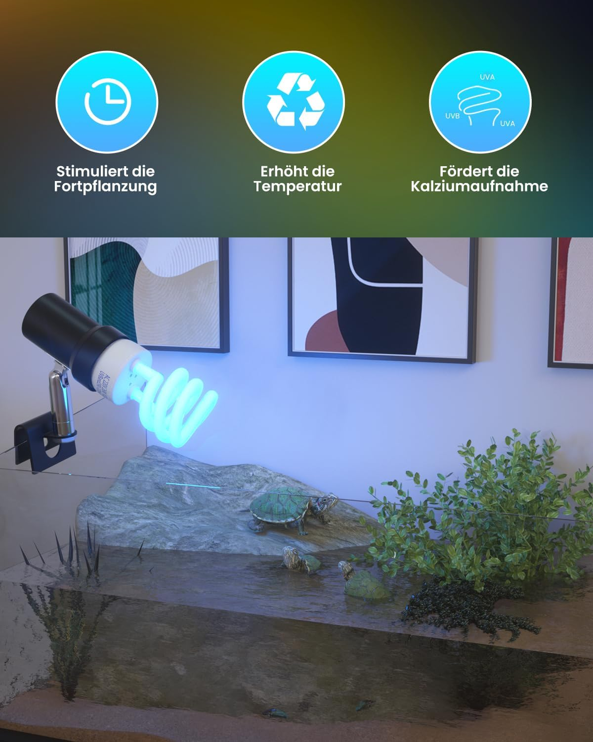 Doright 5.0 13 W UVB Lamp, E27 Reptile Compact UVA UVB Lamp Terrarium, AC 220-240 V Animals Fluorescent Lamp for Lizard Chameleon Leopard Gecko Vivarium Turtle Tank Pack of 1 image number 2