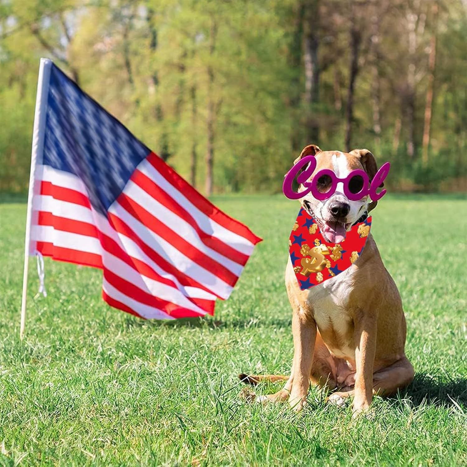 BSITSSS Pack of 3 Dog Bandanas, American Dollar Dog Bandana, Neckerchiefs, Dog Scarves, Dog Scarf Accessories for Dogs and Cats Birthday image number 1