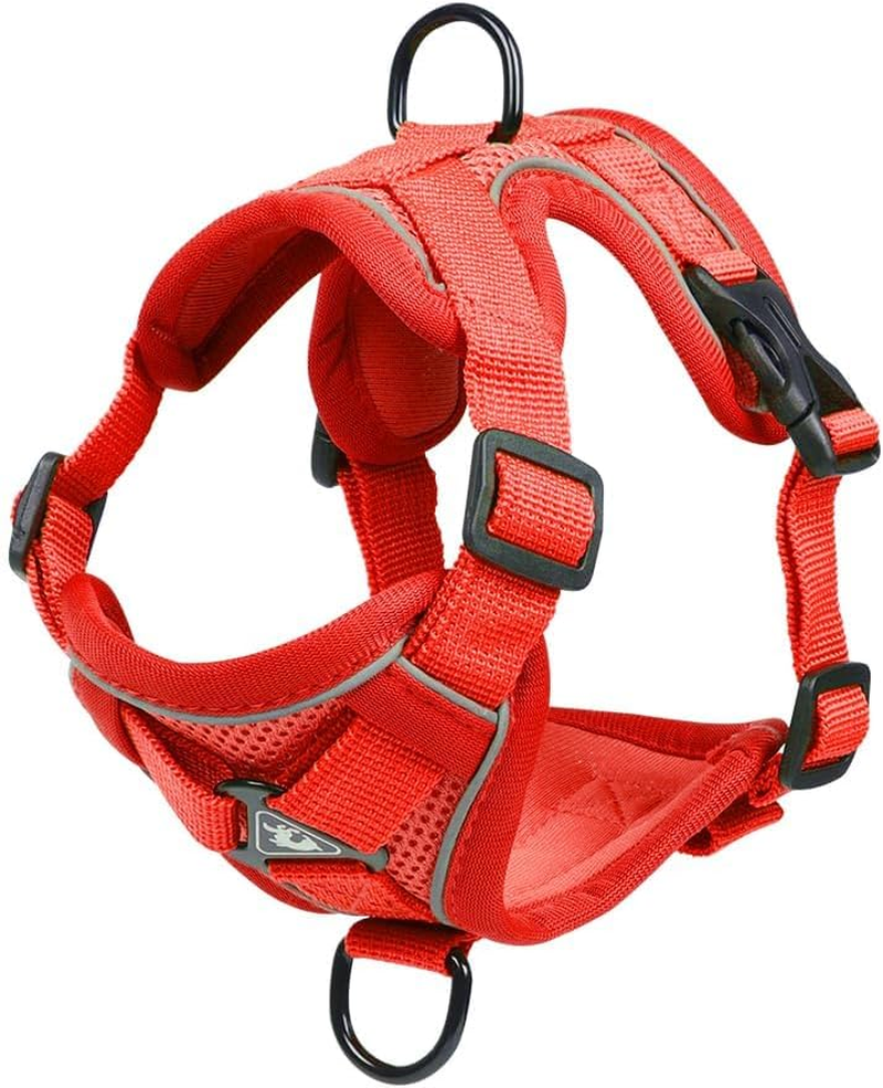 Skmeditec Cat Harness and Leash Set: Upgraded Escape Proof Vest with Lead for Large Cat Small Dog Puppy Walking, Soft Jacket Reflective Strips L Size Red image number 4