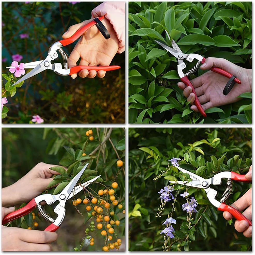 2 Pcs Sturdy Pruning Shear Garden Scissors Gardening Snips Professional Micro-Tip Pruning Tool for Arranging Flowers, Trimming image number 6