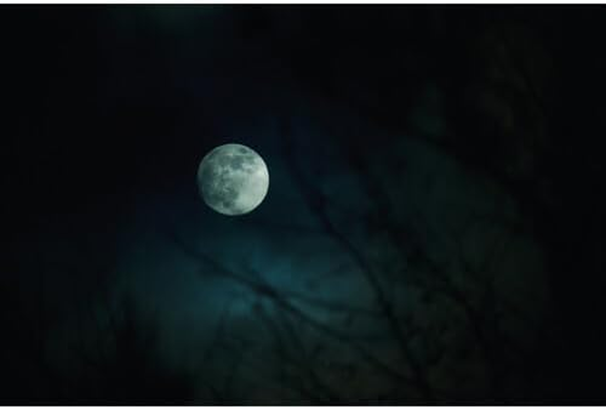 Sigma Lens 16-300Mm F3.5-6.7 DC OS Canon RF Mount High Magnification Zoom Standard APS-C Cantemporary Mirrorless Only image number 1