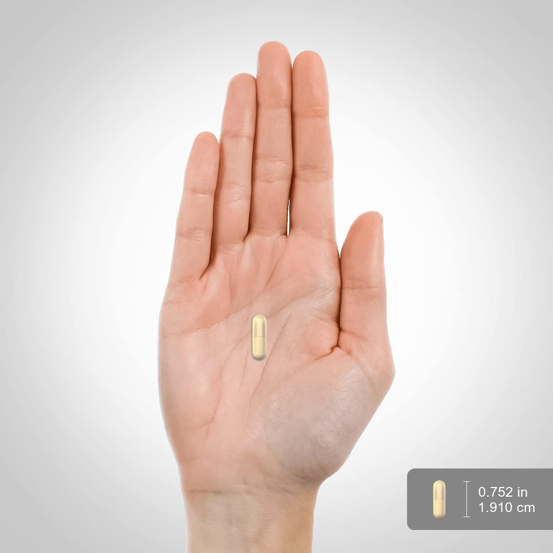 Kudzu Root 500Mg 100 Capsules image number 4