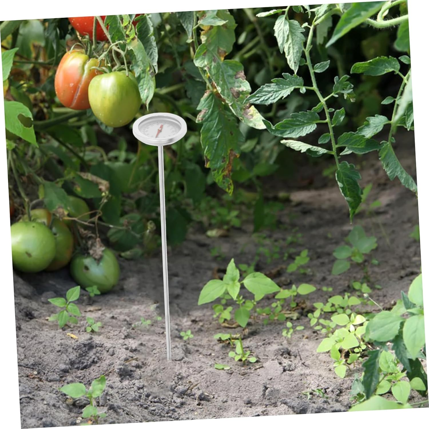 CLISPEED Compost Thermometer Soil Temperature Gauge Stainless Steel Probe for Gardening and Backyard Use Portable Metal Soil Temperature Measuring Tool Outdoor Reusable image number 4