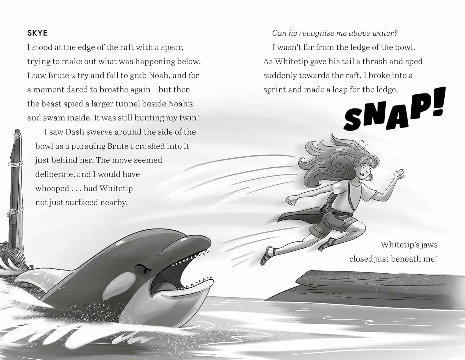 The Lost Island (Dolphin Twins, Book 1) image number 2