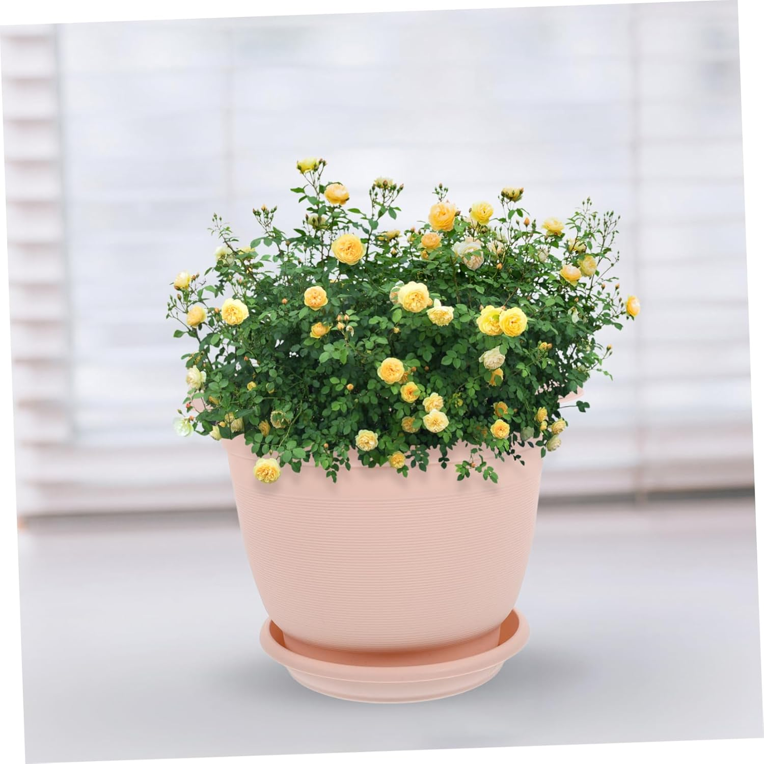 Levemolo 5Sets Root Control Flower Pot Plastic Planter Saucer Kit Garden Supply for Succulent Planters Outdoor for Plant Nursery Pots and Garden Nursery image number 1