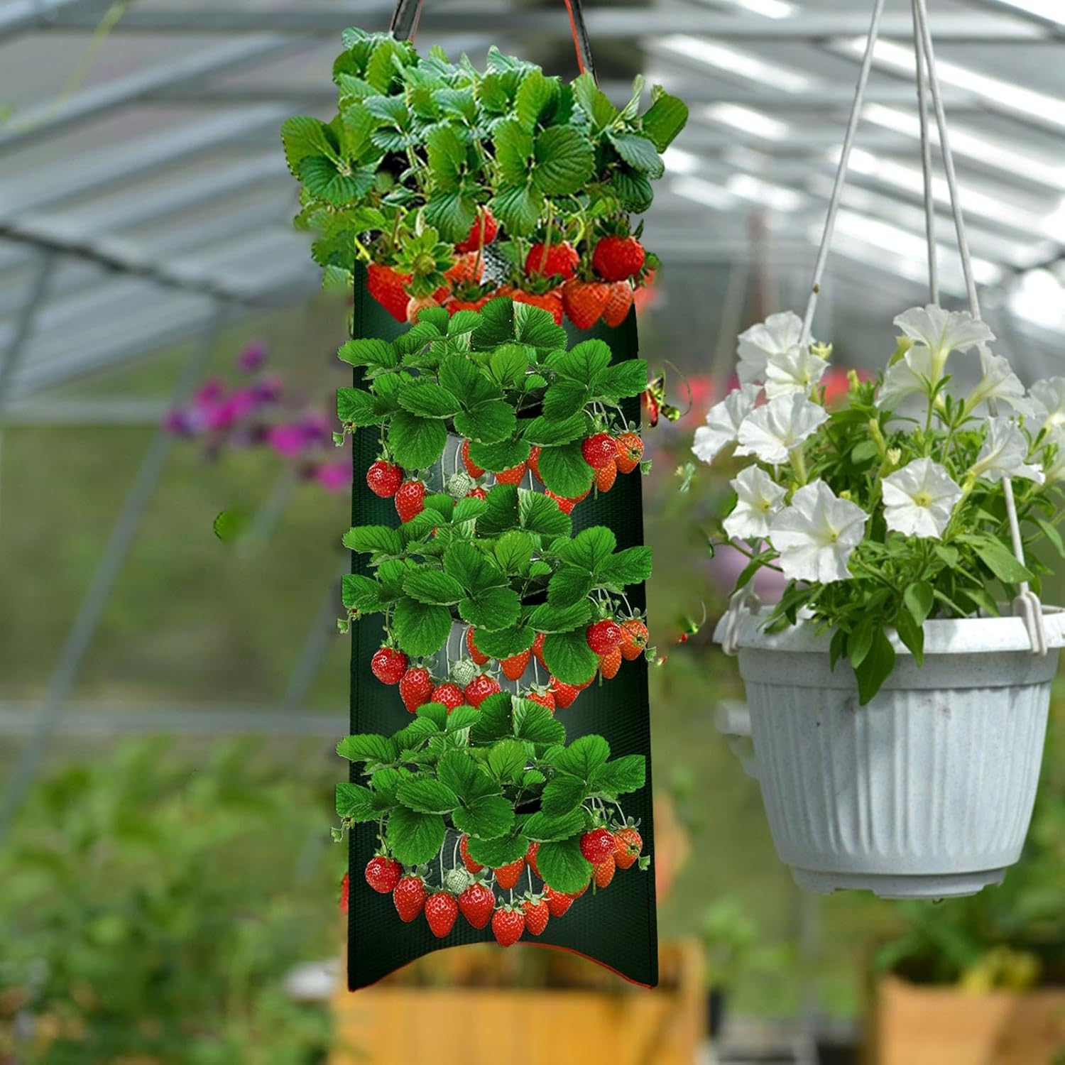 Tomato Planter Bag | 8- Vegetable Planting Aeration Pouch for Growth | Gardening Accessories for Tomatoes, Carrots, Roses, Strawberries, Vegetables