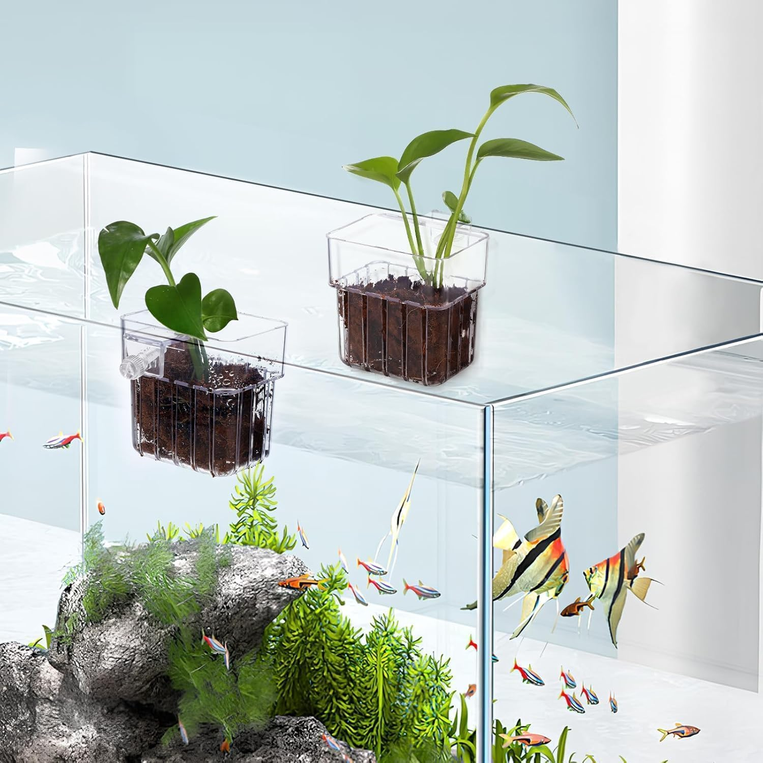 2 Pcs Clear Aquarium Plant Holder,Aquarium Planter Cups for Emersed Plants,Hanging Planter with Hole,Suitable for Aquatic Plant Cultivation and Water Feature Decoration image number 5