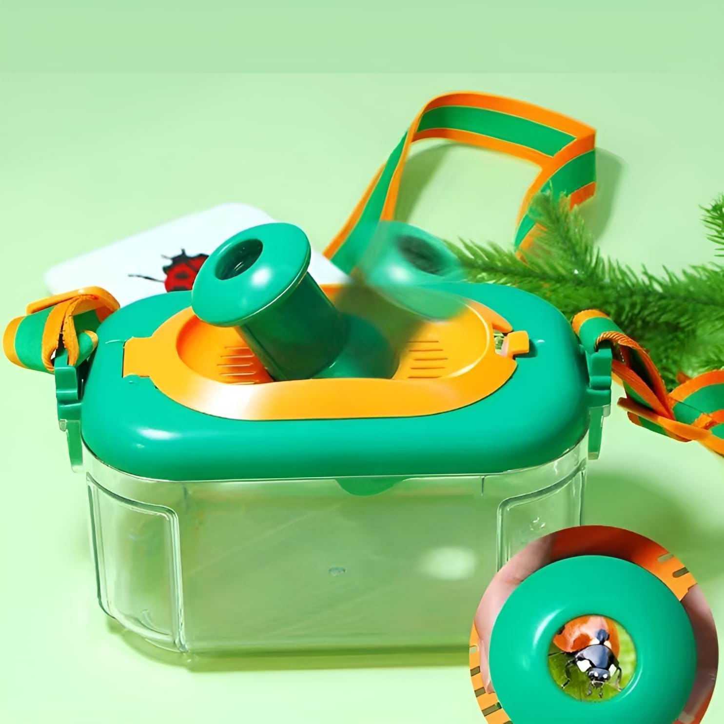 Why2Wise Bug Catcher Kit for Kids - Outdoor Explorer Kit with Insect Box, 2-In-1 Whistle and Compass, Magnifying Glass, Tweezers, Clamp, Insect Cards - Educational Toy 3+ Years Old Boys Girls image number 5