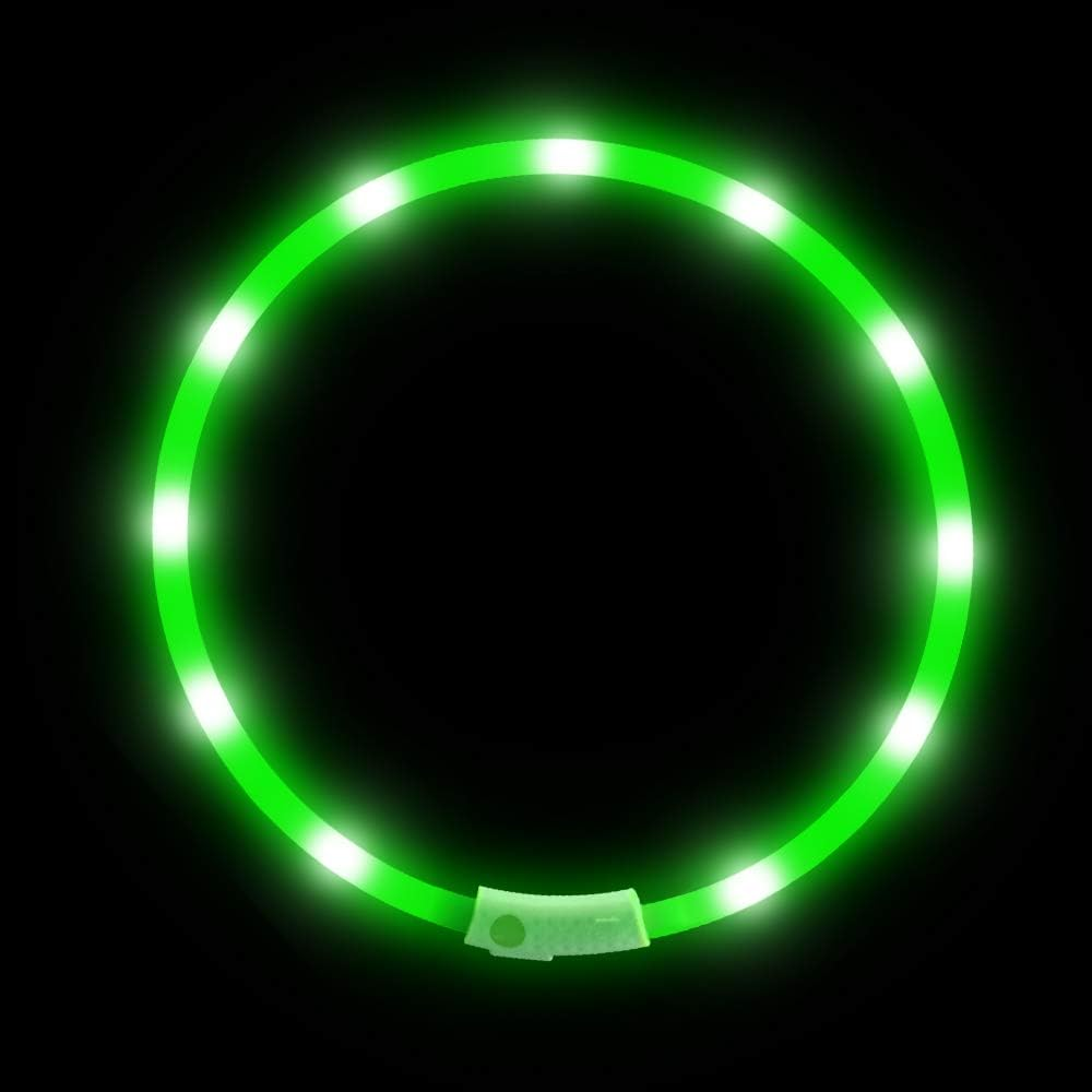 Light up Dog Collar, BSEEN USB Rechargeable Flash Dog Necklace Light, Pet Safety Collar Makes Your Beloved Dogs Be Seen at Night for Small Medium Large Dogs(Blue)