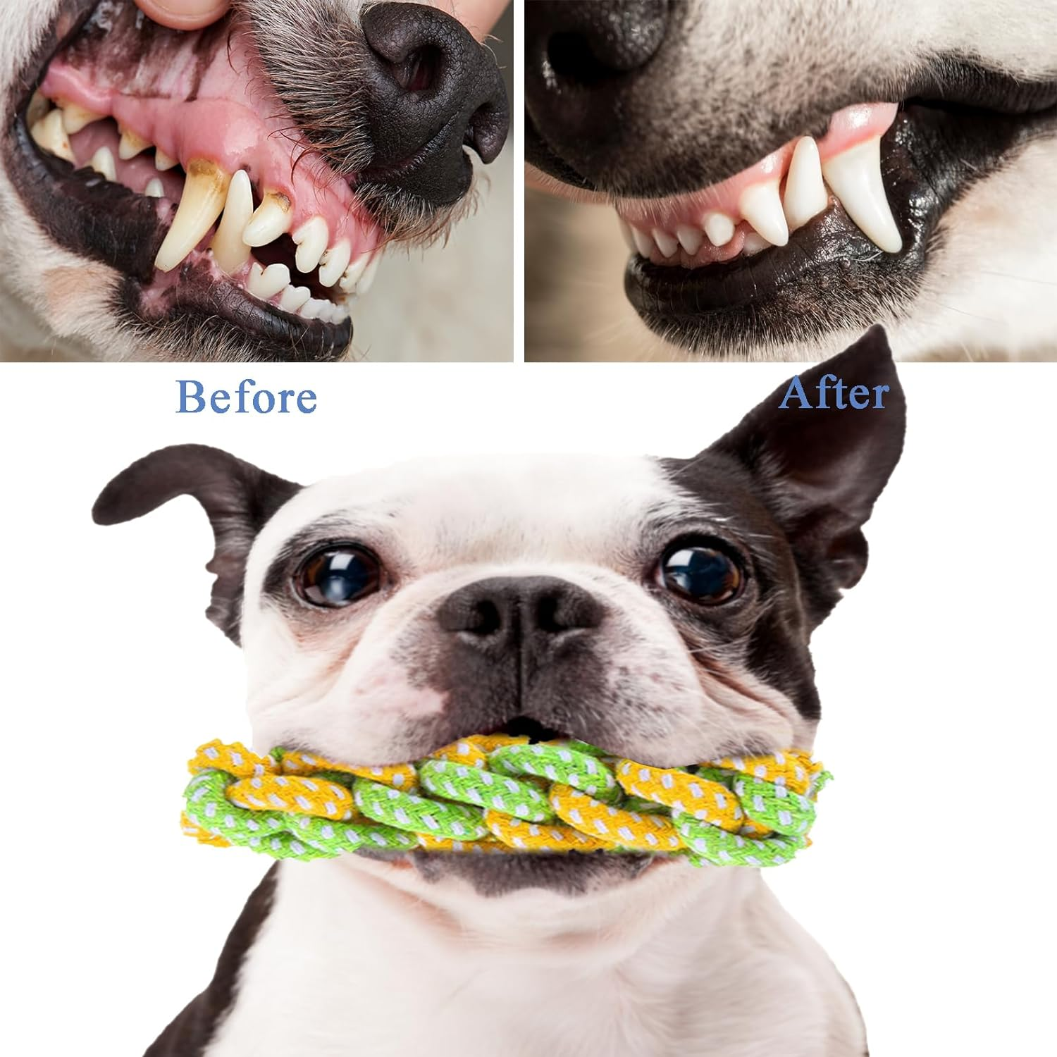 Dog Toys for Aggressive Chewers,13 Pack Dog Chew Toy,Teething Toys for Puppies,Medium,Durable Chew Toys for Small,Medium Dogs,Puppy Chew Toys,Indestructible Dog Rope Toys,Dog Squeaky Toys image number 2