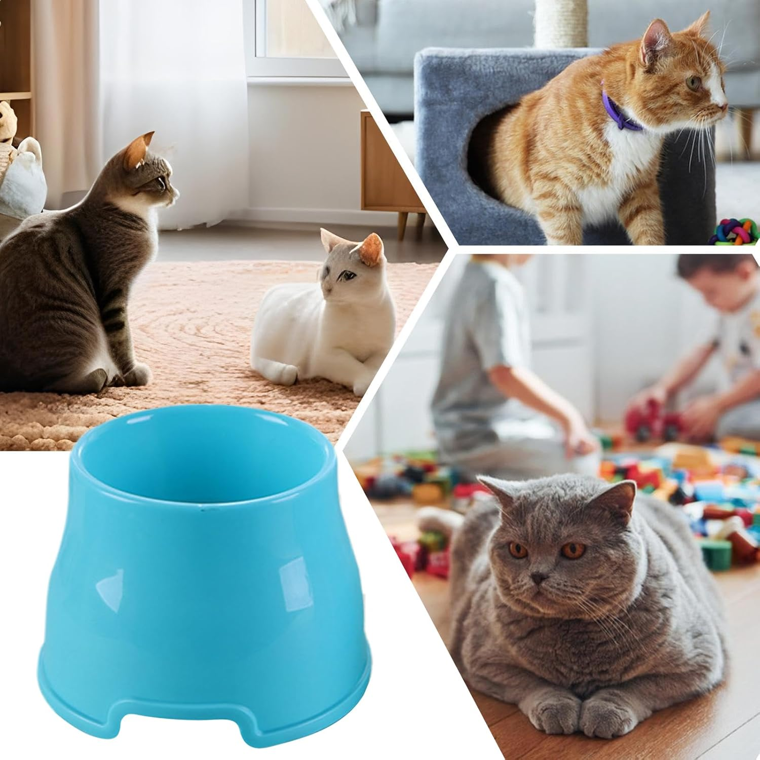 Cat Food Bowl, Elevated Cat Food Bowls, Dishwasher-Safe Pet Feeder Dish for Floor Home Travel Outdoor Camping Trip Veterinary Recovery image number 4