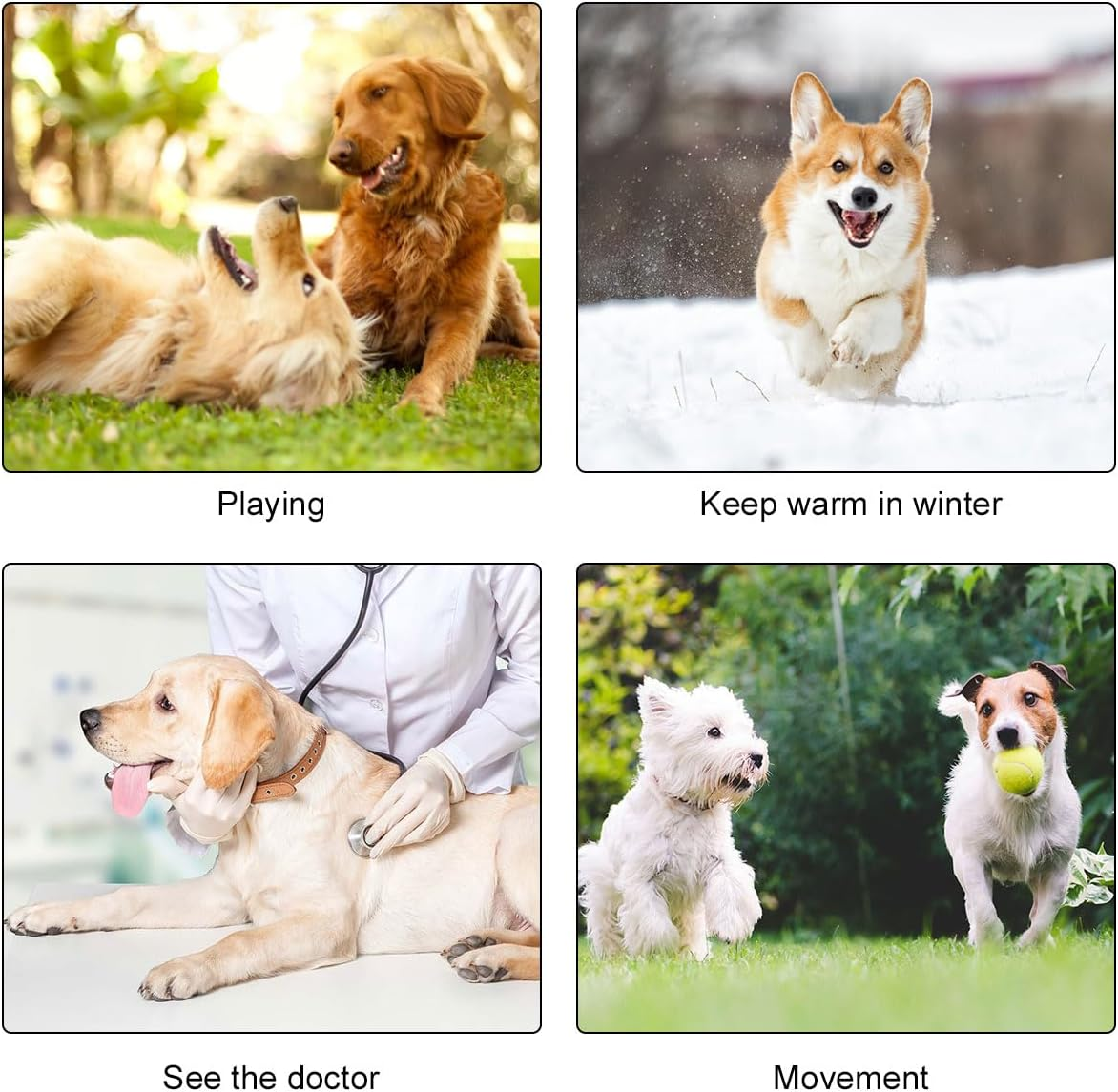 Non-Slip Socks for Dogs, 4 Pieces Dog Socks, Non-Slip, Non-Slip Paw Protection for Dogs, Adjustable Paw Protection for Dogs, Non-Slip Traction Dog Shoes, Suitable for Indoor and Outdoor Use image number 4