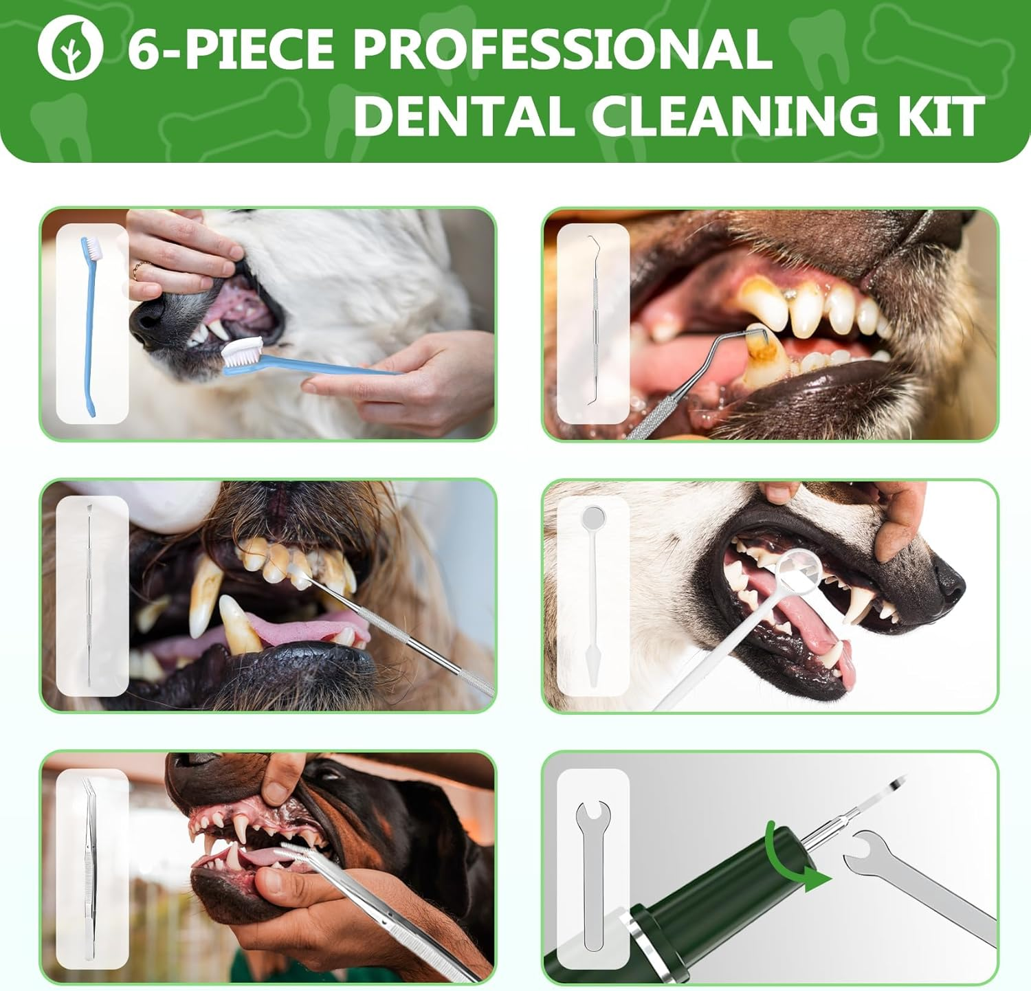 Opdent Dog Plaque Remover for Teeth - Pet Ultrasonic Tooth Cleaner, 6 Adjustable Modes Dog Teeth Cldaning Kit with LED Light, Cats and Dogs Tartar Remover for Teeth (Green, Large) image number 3
