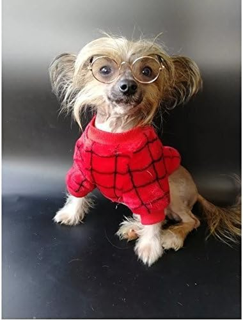 Dog Cat Sunglasses, Retro round Trans Golden Frame, Resin Lens, Fashion Protection for Small Mini Pets, Party, Wedding, Cosplay Props (Clear) image number 4