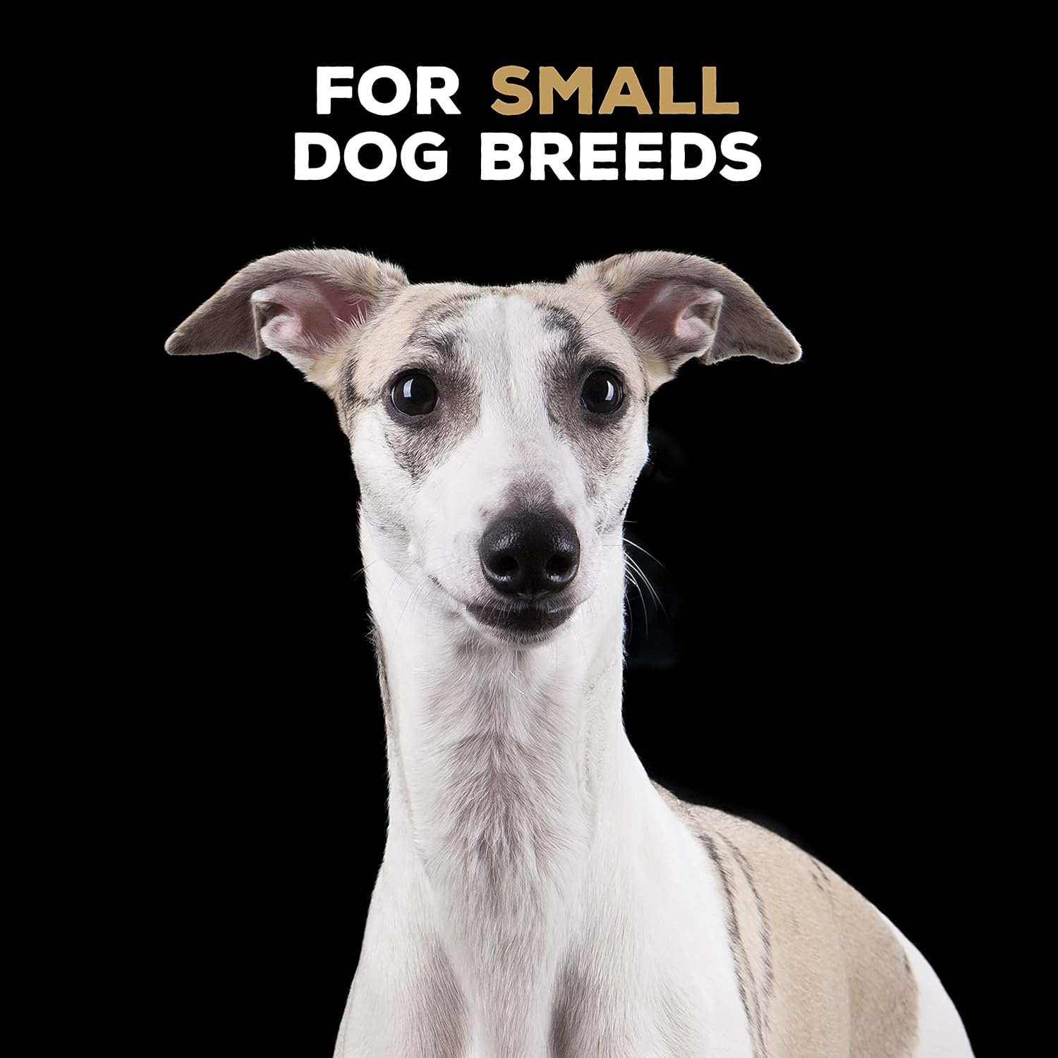 Tasty Bone Nylon Dog Chew Toy Quattro Chorizo Small image number 1