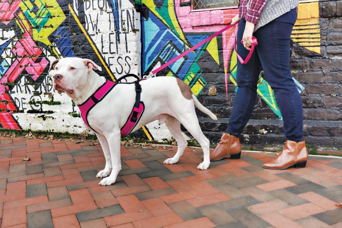 Petsafe Easysport Dog Harness, Adjustable Padded Dog Harness with Control Handle and Reflective Piping, from the Makers of the Easy Walk Harness,Pink,Medium image number 2