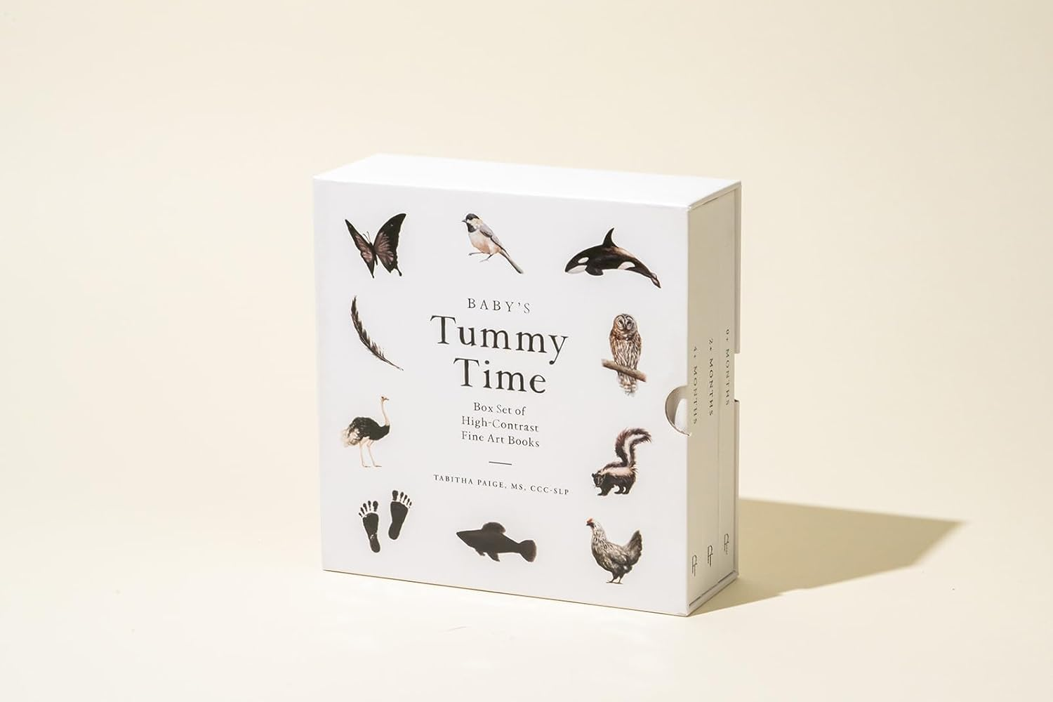 Baby'S Tummy Time Book Box Set: a 3-Book Box Set of High-Contrast Art for Visual Stimulation at Tummy Time