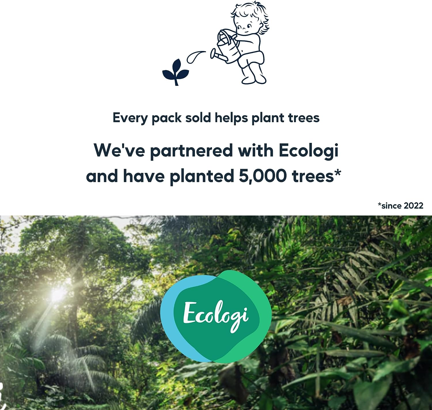 Pureness Baby Biodegradable Plastic Free Sensitive and Newborn Skin Mega Value Wipes, Pack of 12, 768 Wipes image number 1