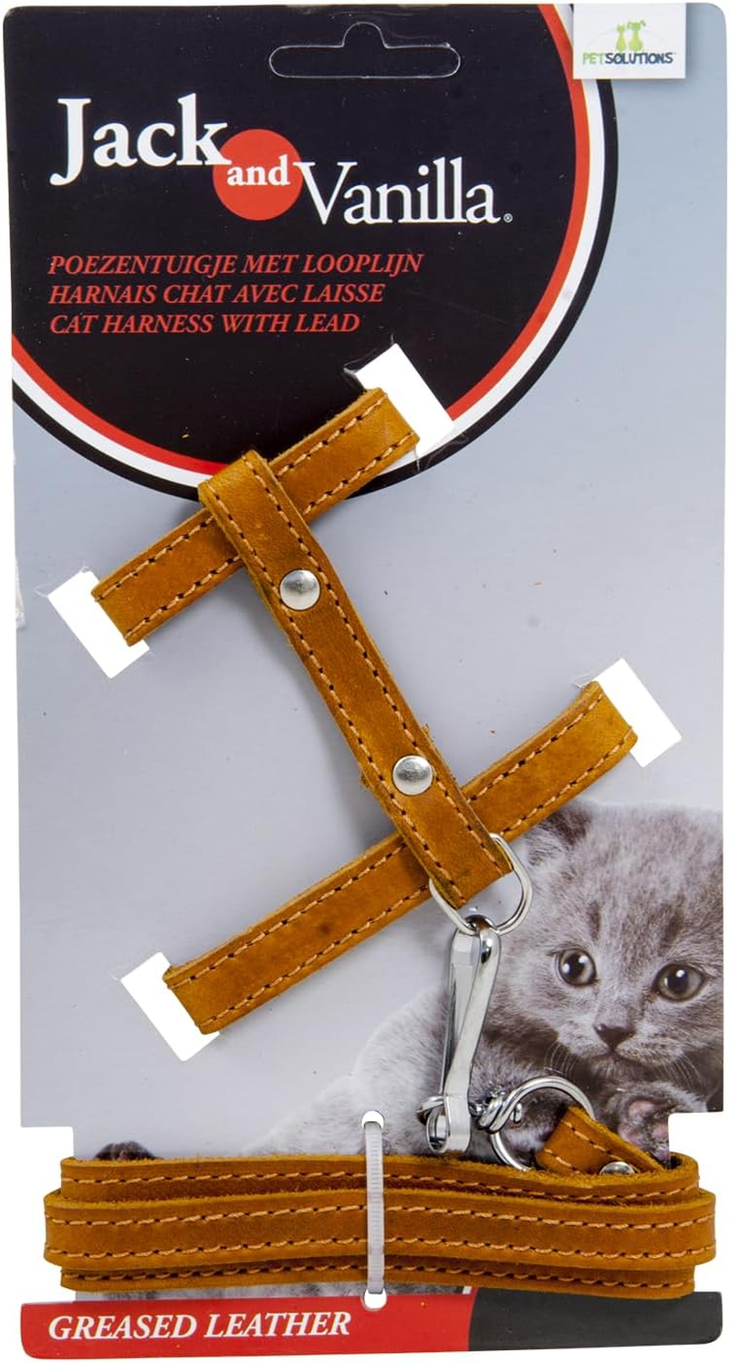 Jack and Vanilla, Oiled Leather Cat Harness with Red Leash, Custom Fit, Elegant Design, Optimal Comfort, Maximum Safety, Size 10 Mm, Red Colour, Pattern