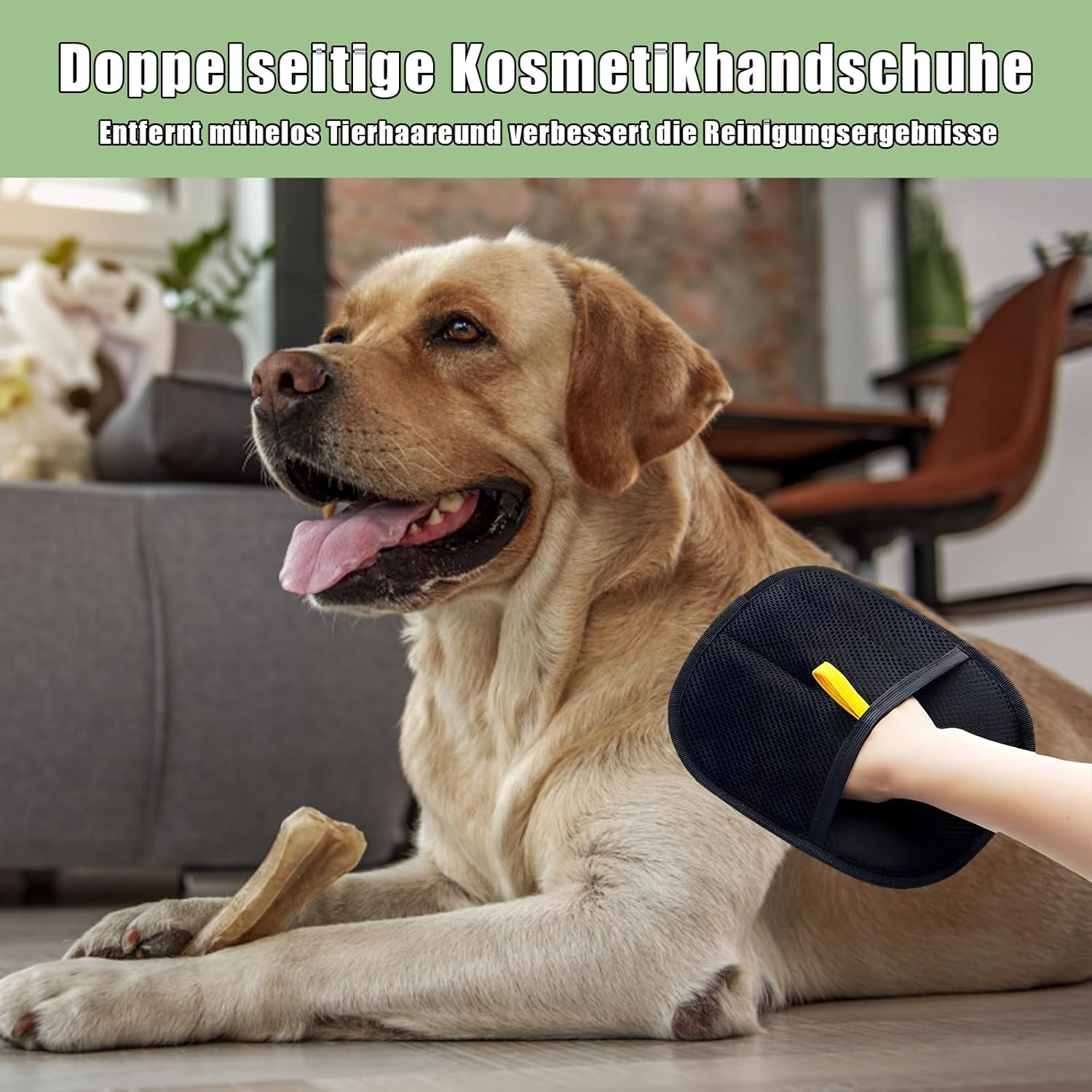 Set of 2 Fellblitz Cat Brush and Pet Hair Remover Glove, for Effective Grooming, Fur Flash Brush and Hair Removal Glove for Dogs and Cats, 20 Cm Length image number 5