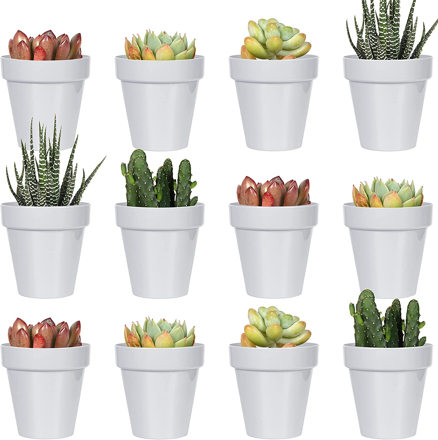 Youngever 24 Pack 5CM Mini Plastic Planters, Indoor Flower Plant Pots, Grey Gardening Pot with Drainage - NO Plant Included (Classic)